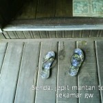 Souvenir Pembawa Petaka