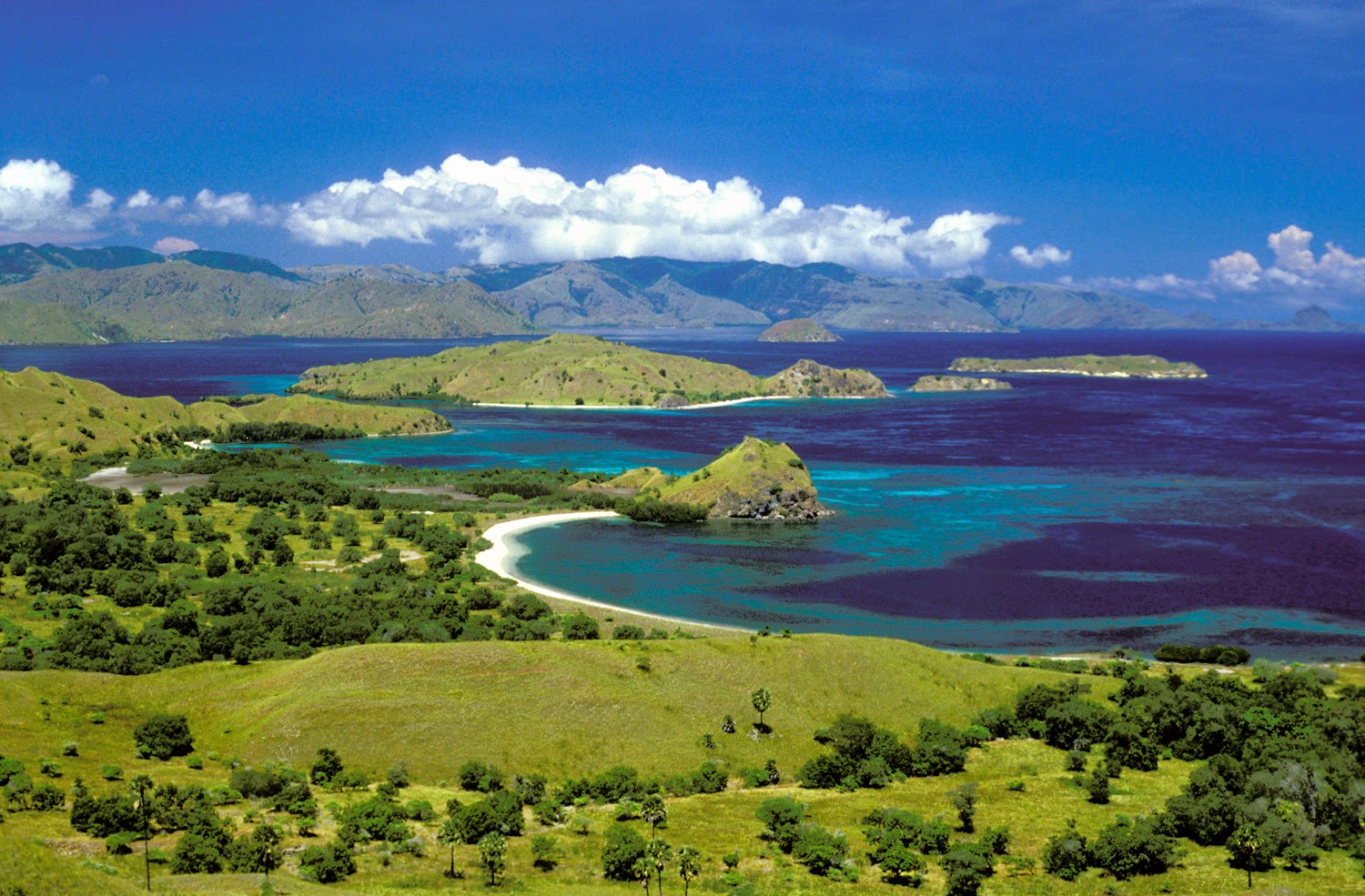 Pulau Komodo pantai terindah di Indonesia