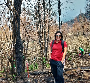 pekestarian lingkungan di Taman Wisata Kawah Ijen
